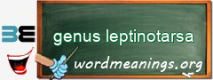 WordMeaning blackboard for genus leptinotarsa